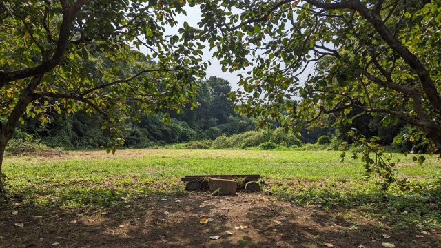自然館泉|観光農園・ベリーキャンプ場