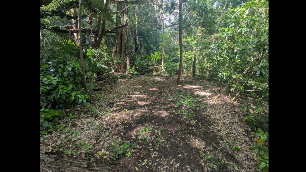 site_image