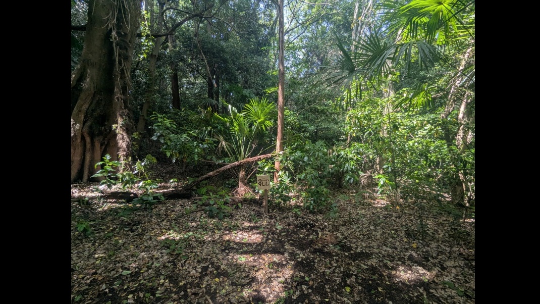 site_image