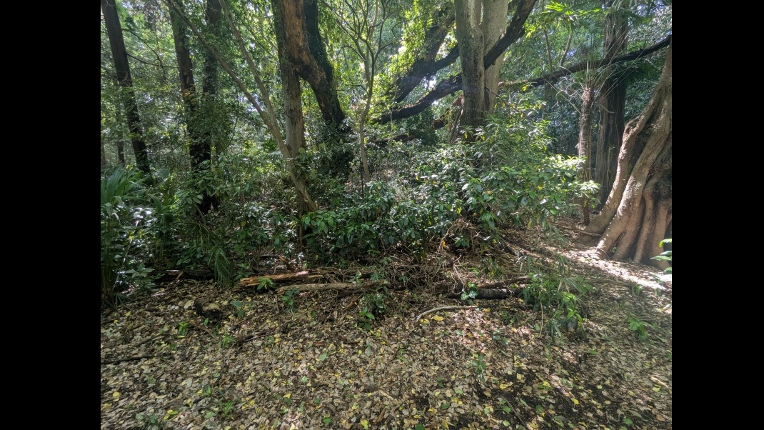 site_image