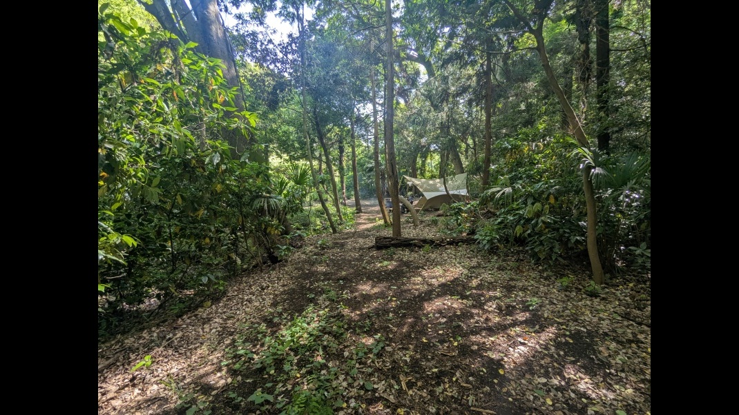 site_image