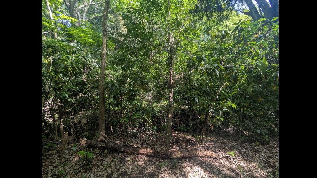 site_image
